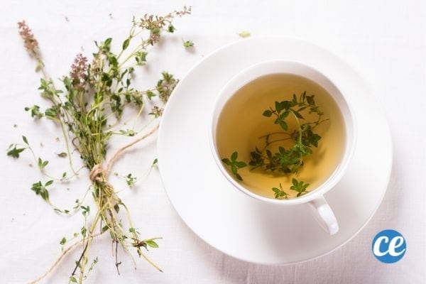 a herbal tea made with thyme and a few sprigs of thyme