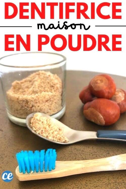 poudre dentifrice blanchissante maison