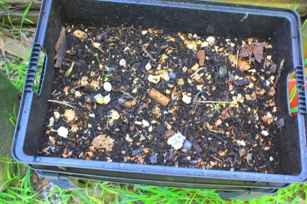 Compost with walnut and hazelnut shells to reuse
