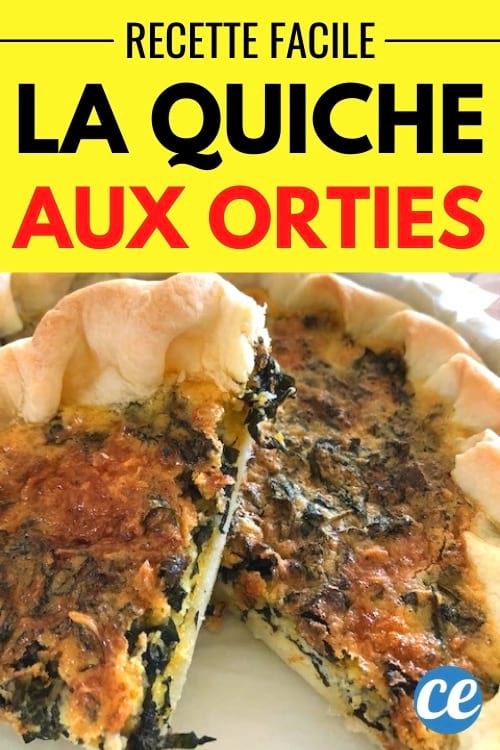 tarte maison aux orties sauvages