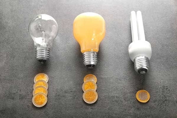 Différents type d'ampoules pour économiser de l'électricité