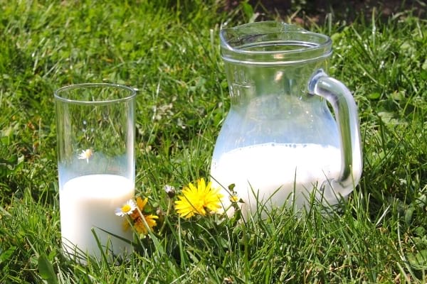 Un bros et un verre de lait sur de l'herbe à ne pas congeler