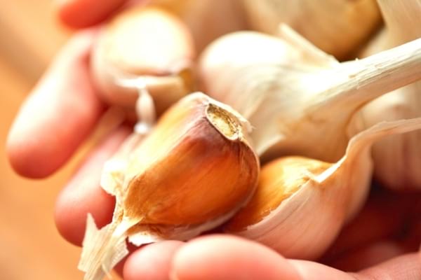 Knoblauch ist ein wirksames Mittel gegen Schuppenflechte auf der Kopfhaut.