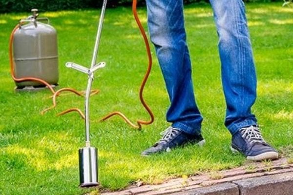 Un homme mettant de la chaleur dans son jardin à l'aide d'une machine pour tuer l'oxalis 