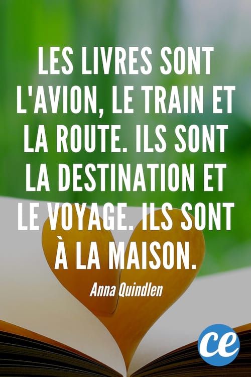 Les livres sont l'avion, le train et la route. Ils sont la destination et le voyage. Ils sont &agrave; la maison.