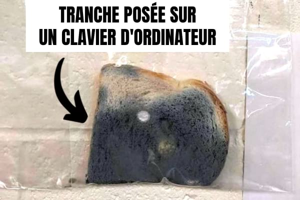 Du pain contaminé par les bactéries d'un clavier d'ordinateur.