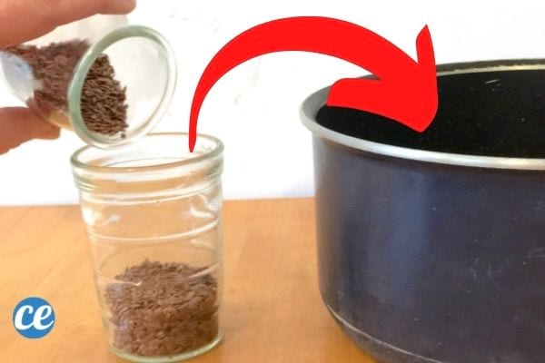 des graines de lin versées dans un verre