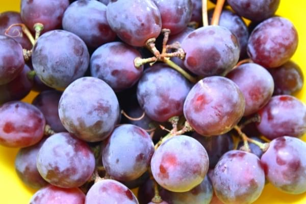 Le raisin rouge est riche en mélatonine et favorise le sommeil.