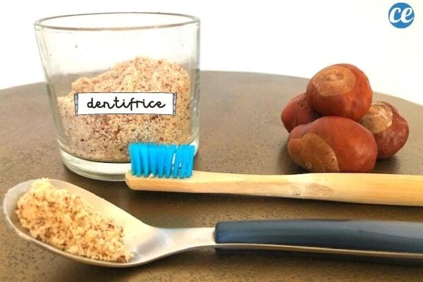 homemade natural toothpaste brown powder