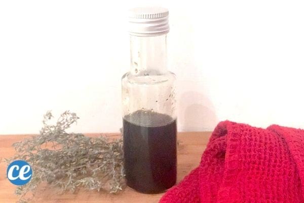 une bouteille de sirop de thym fait maison