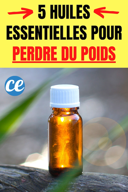 Perdre Du Poids : 5 Huiles Essentielles Pour Mincir De Manière Naturelle.