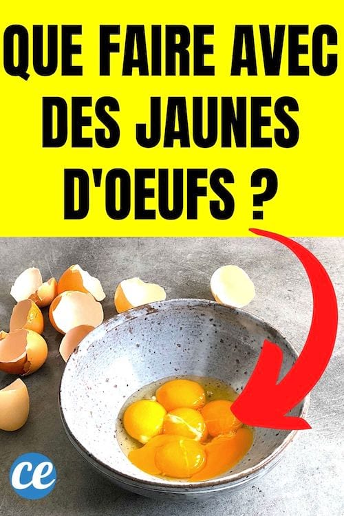 des jaunes d'oeufs dans un récipient gris avec des coquilles d'oeufs autour