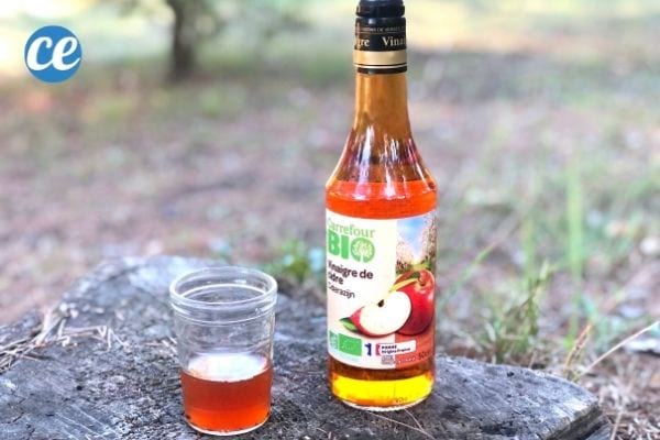 Un verre et une bouteille de vinaigre de cidre sur une souche d'arbre