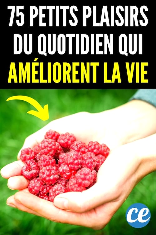 Voici 75 petits plaisirs pour rendre vos journées plus agréables.