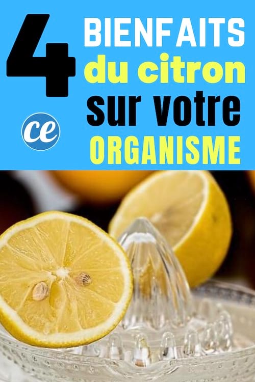 Bienfaits du citron sur l'organisme