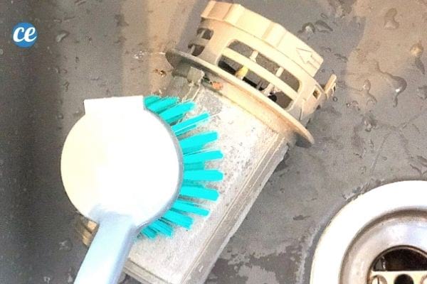 Frotter le filtre du lave vaisselle avec une brosse pour enlever les saletés