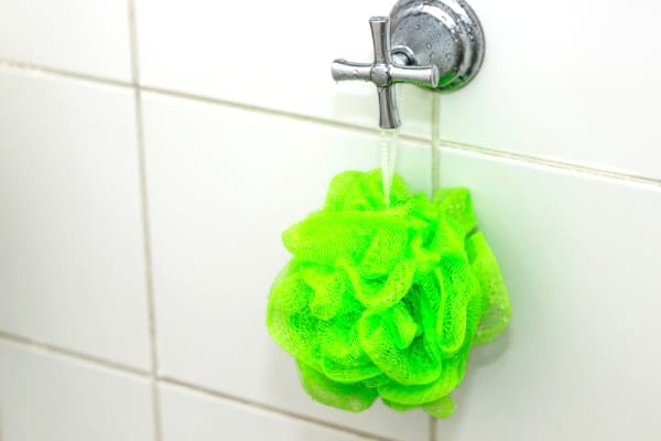 Les fleurs de douche doivent être changées tous les 6 mois.