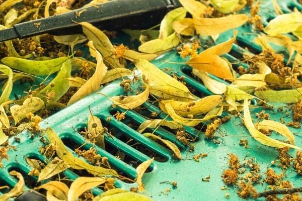 Des feuilles qui obstruent les canaux de drainage d'une voiture et qui créent de l'humidité