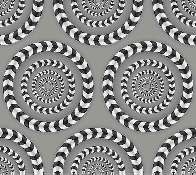 Vous voyez des cercles qui bougent ? C'est une illusion optique.