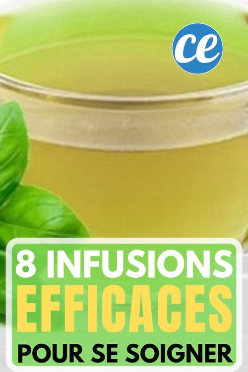 des infusions naturelles efficaces pour faire des remèdes