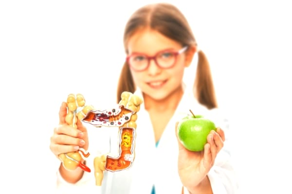 Les fibres de la pomme sont bonnes pour la digestion.