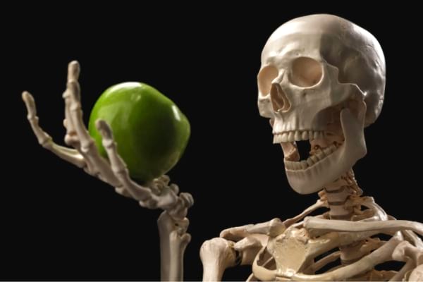 La pomme augmente la solidité des os.