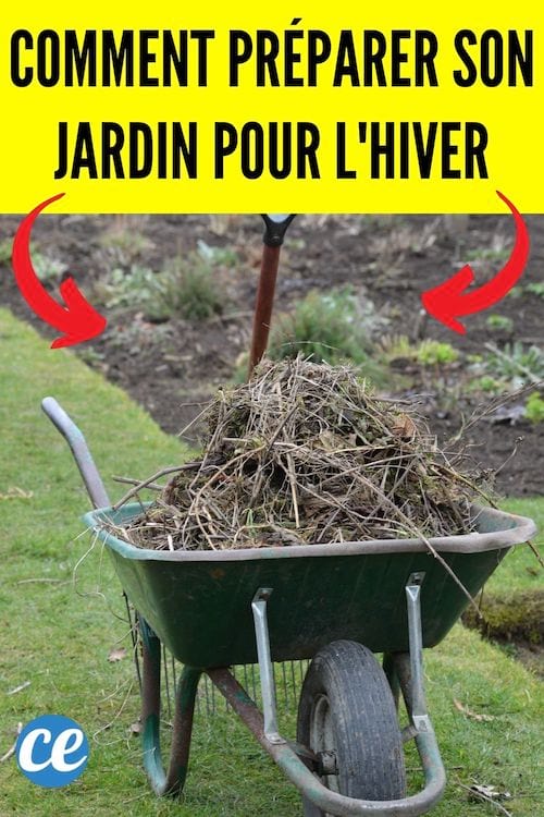 Guide pour préparer son jardin et son potager pour passer l'hiver