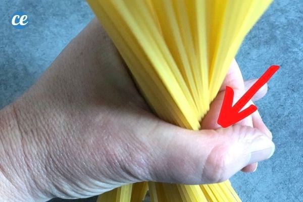 The dosage of spaghetti per person as a main course measured with the thumb and forefinger