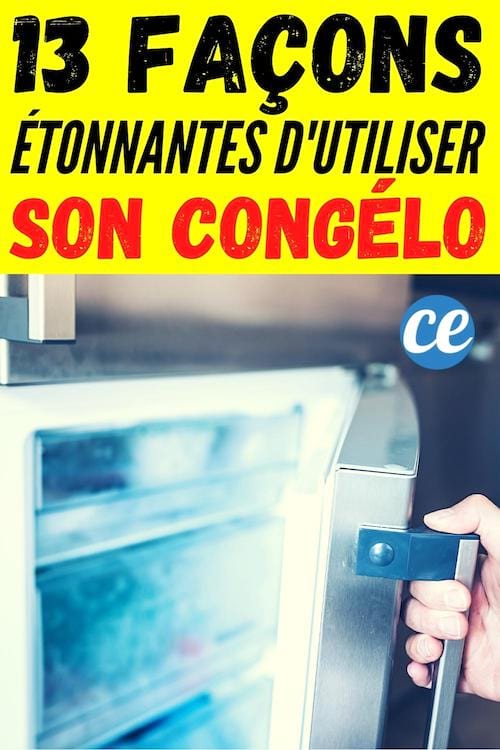 13 façons d'utiliser son congélateur à la maison