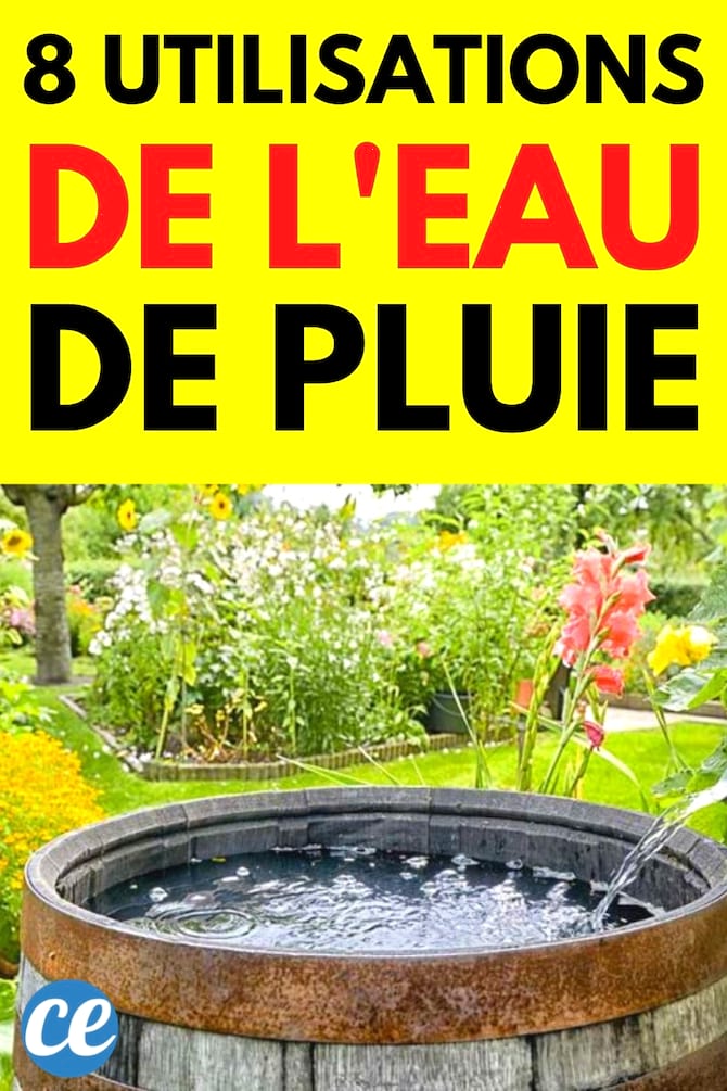 r&eacute;cup&eacute;rer l'eau de pluie et utilisations