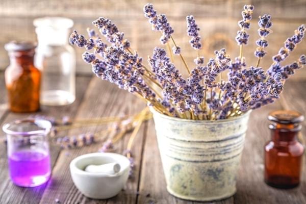 De la fragrance à la lavande pour parfumer lessive maison