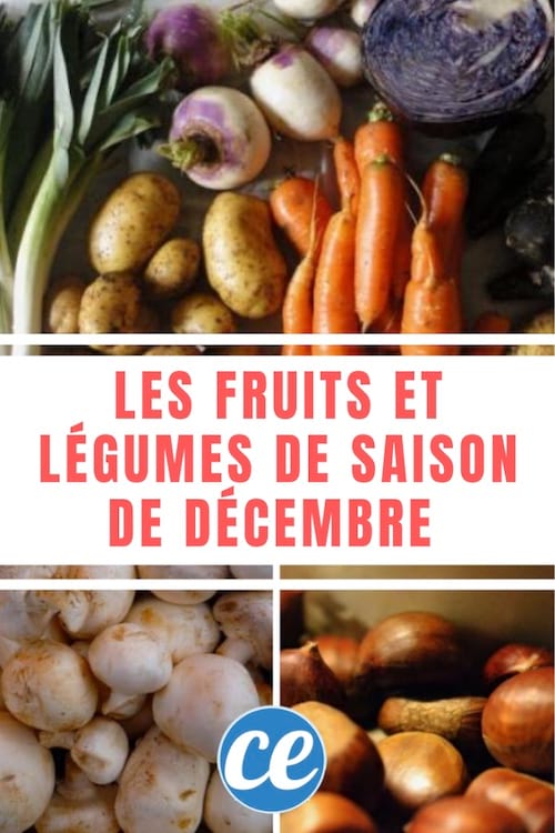 Les fruits et légumes du mois de décembre