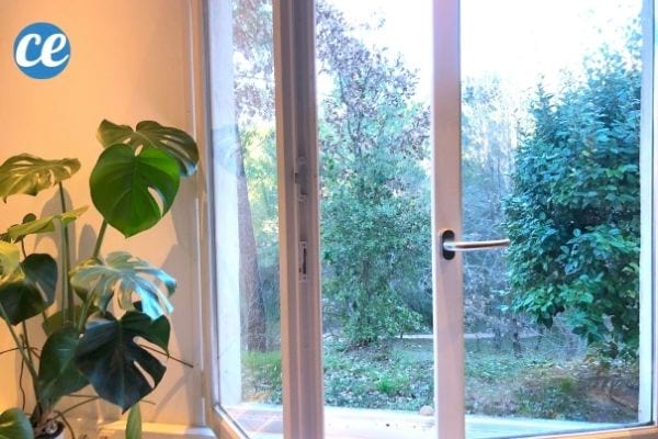Une fenêtre ouverte pour aérer et humidifier la pièce