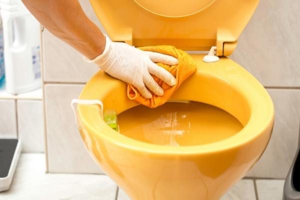 nettoyer la salle de bain avec eau de pluie r&eacute;cup&eacute;r&eacute;e
