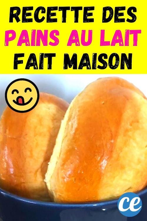 comment faire des pains au lait moelleux maison facile et rapide