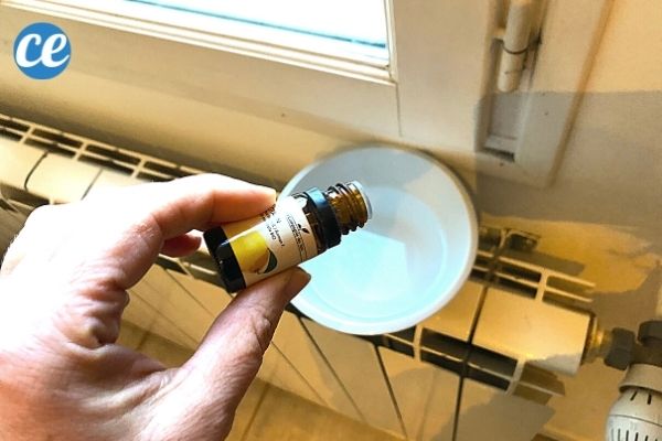 Humidificateur Dair Fait Maison
