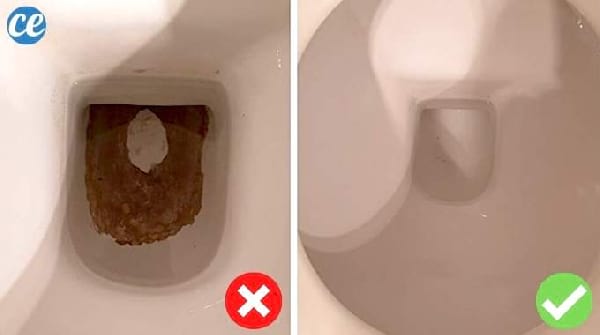 Traces Noires Au Fond des WC : L'Astuce Naturelle Pour les Éliminer SANS Effort