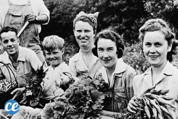 Une vieille photo de gens qui cultivent un potager et mangent de bons légumes gratutis et pas chers.