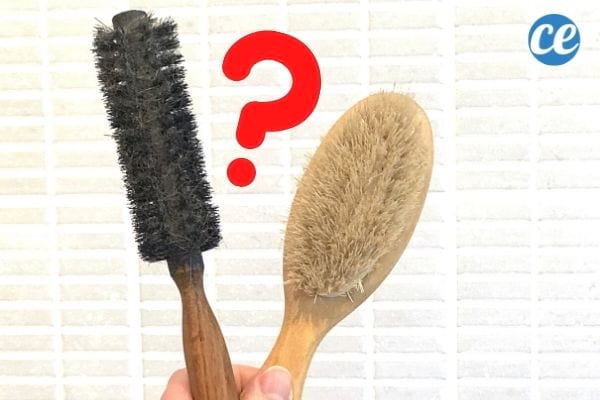 deux brosses en bois avec des poils naturels une ronde et une plate