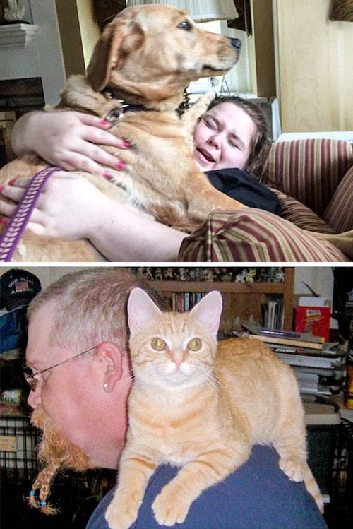 Chien et chat sur leurs propriétaires