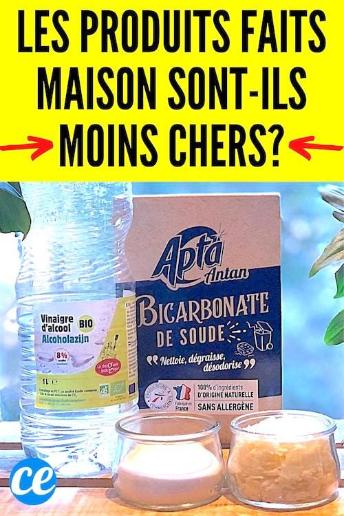 Les produits faits maison coûtent ils plus chers ?