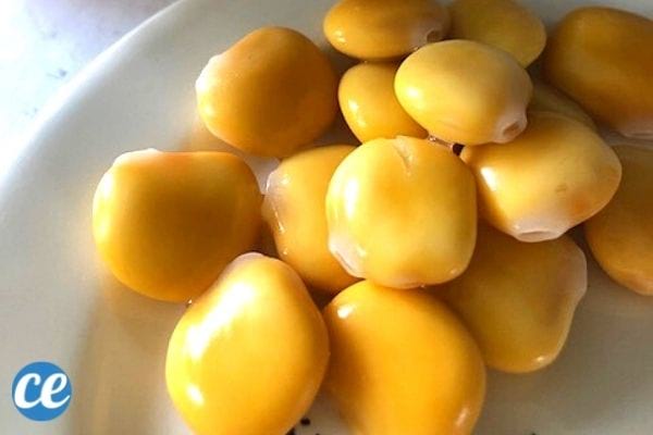 graines de lupin pour les salades