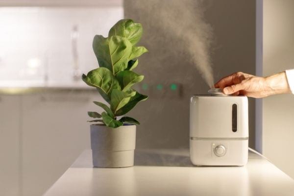 un humidificateur dans une cuisine blanche à côté d'une plante verte