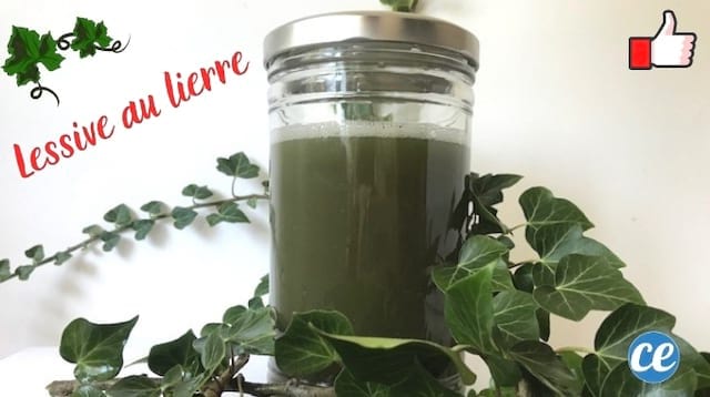 bocal avec lessive bio au lierre