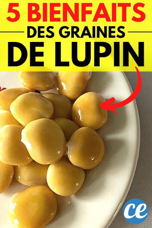 5 Bienfaits des Graines de Lupin Sur la Santé (Que Personne Ne Connaît).