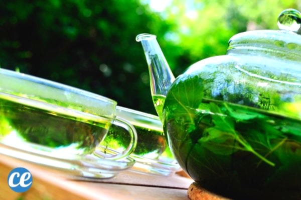 La tisane de mélisse est un excellent remède naturel pour vous aider à mieux dormir.