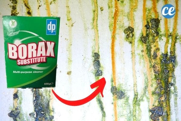 remove mold from walls with borax