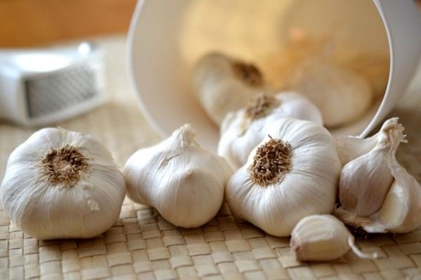 garlic heads and cloves