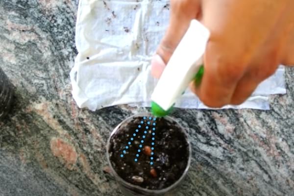 vaporiser de l'eau sur la terre