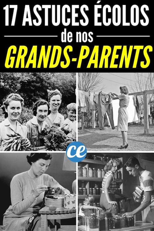 17 astuces qui prouvent que nos grands-parents étaient de vrais écolos